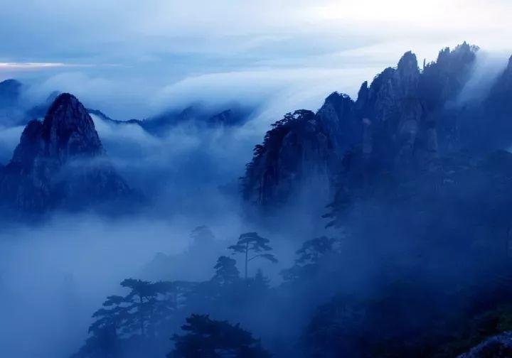 寻找火鸡