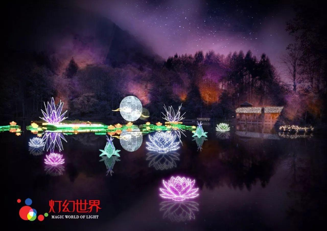 寻找沙漠珍宝
