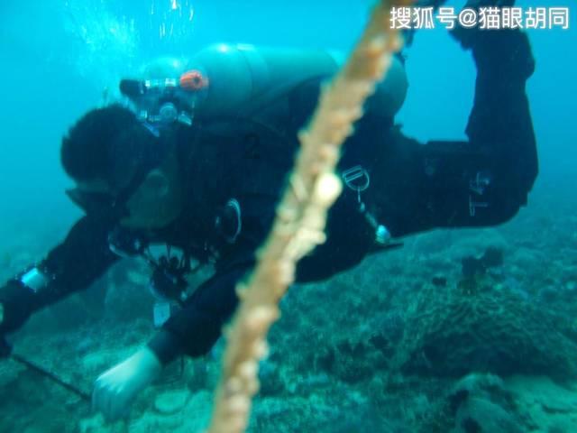 石油骚动