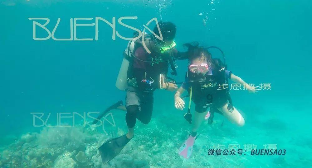 白岩松谈年轻人不愿意生孩子，你觉得是因为什么原因？游戏画面