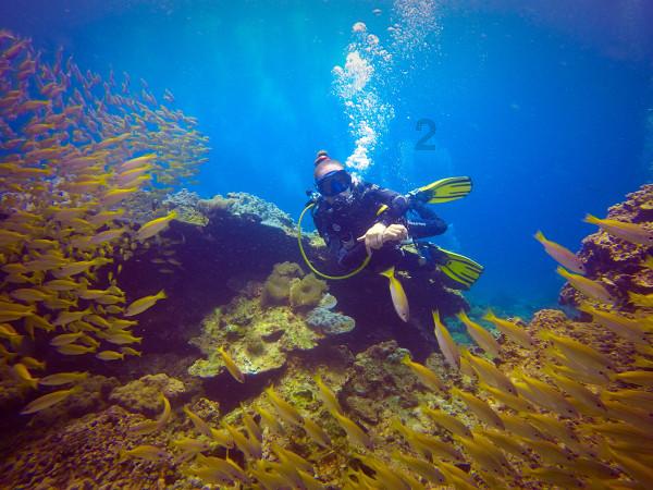 考试提前、铺设防滑垫，湖南各地各校多举措应对极端天气
