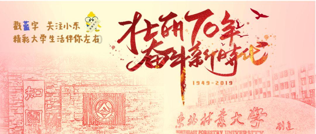 张佰成审议自治区政府工作报告时强调：把牢主线 精准施策 强化统筹 以高质量落实推动高质量发展