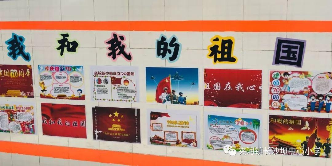 贡献超五成!中国已成世界清洁能源发展不可或缺力量