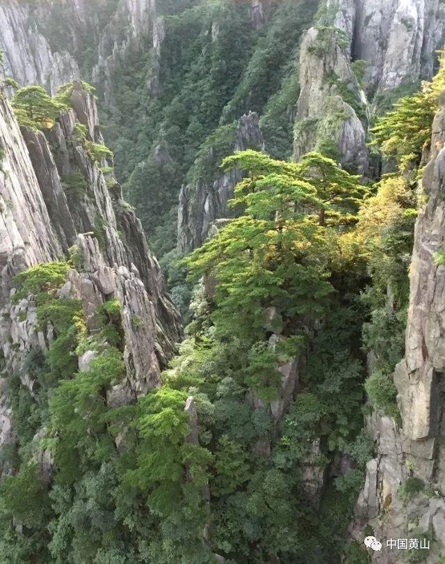 粉色凯蒂屋逃脱