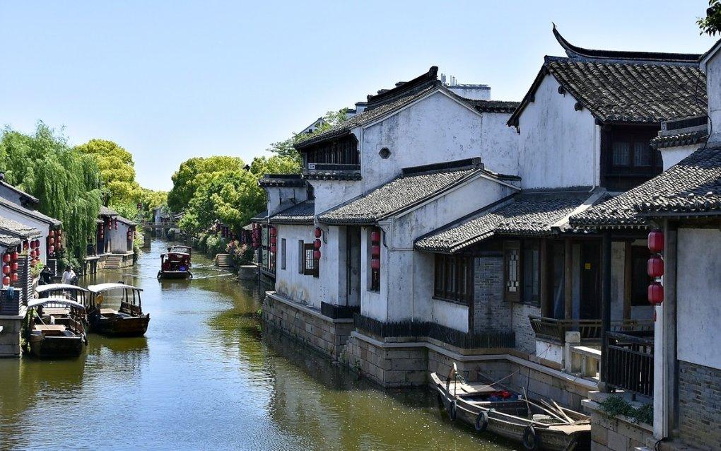 雨后盛放