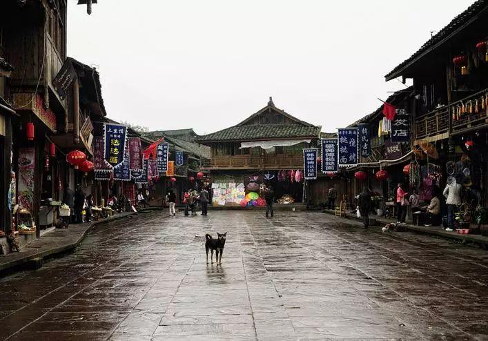 逗小猴开心系列163